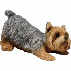 Sandicast "Small Size" Crouching Yorkshire Terrier Dog Sculpture   568935510